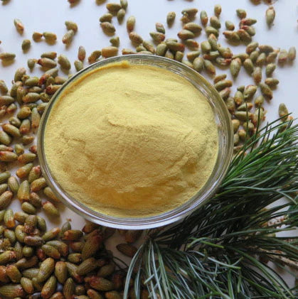 Pollen  powder Poudre de pollen