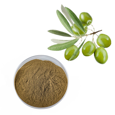 Dévoiler les secrets de l'extrait d'olive : améliorer votre santé et votre bien-être