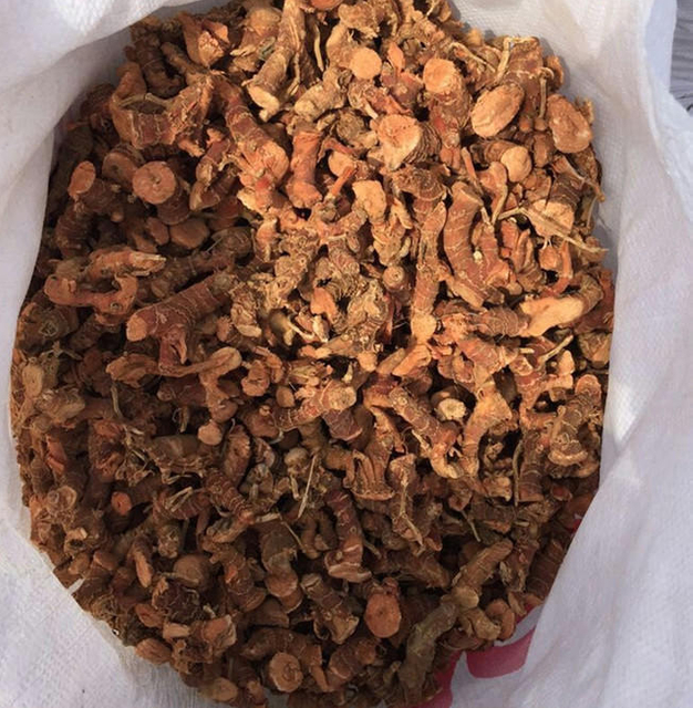 Épices biologiques de racine de galanga