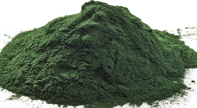 Poudre de Spiruline Bio 