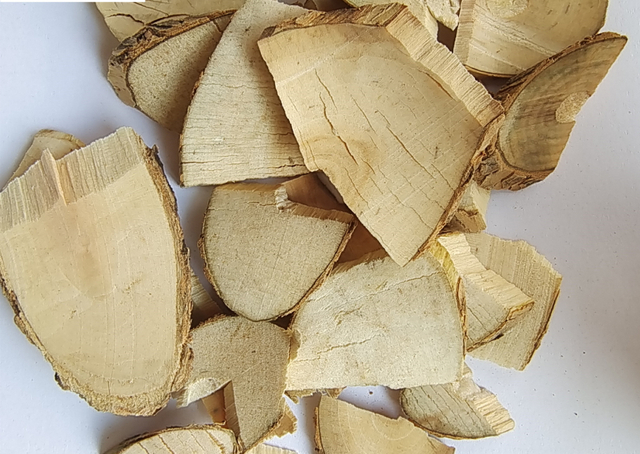 Extrait de sureau biologique