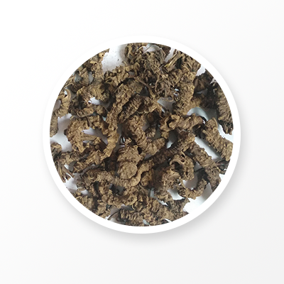 Racine de valériane 