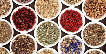 Herbe chinoise traditionnelle