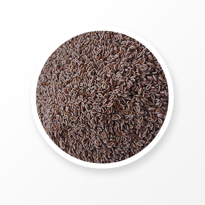 Poudre de coques de graines de psyllium