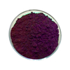 Extrait d'aronia noir