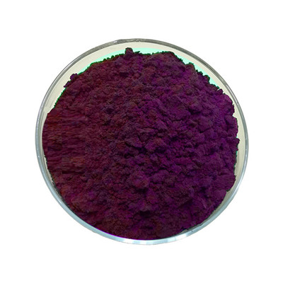 Extrait d'aronia noir