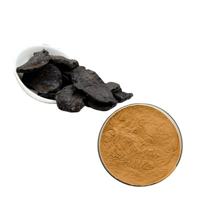 Extrait de racine de Foti 