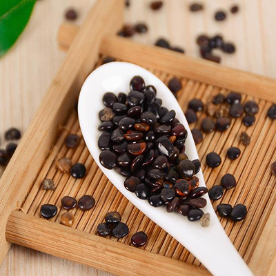 Hovenia Dulcis Graine