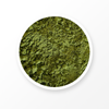 Poudre de Matcha Bio 