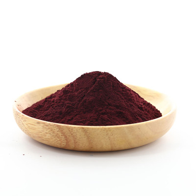 Extrait d'aronia noir
