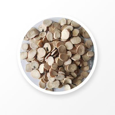 Racine de pivoine blanche