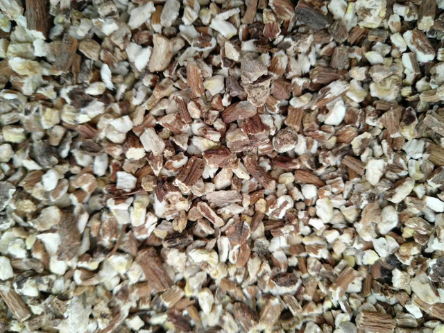 Racine de pissenlit biologique 