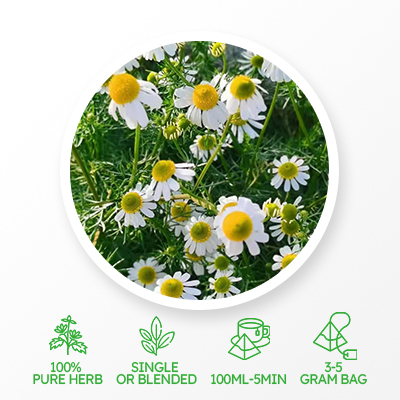 Tisane Amincissante à la Camomille