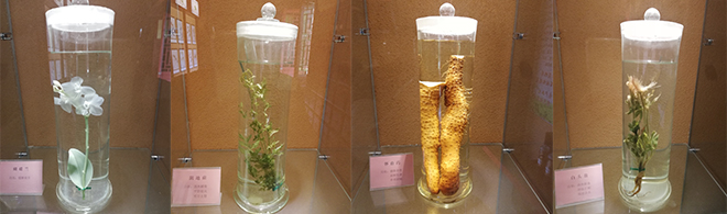 production line 2 - NATURECHOICE