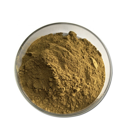 Extrait d'herbe de chèvre cornée