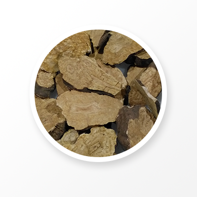 Racine de toison de tubercule