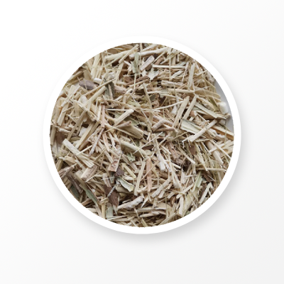 Racine d'Eleutherococcus Senticosus biologique