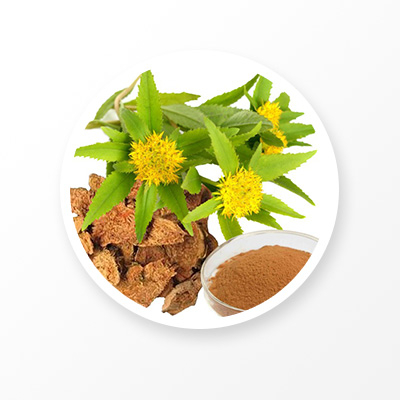 Extrait de Rhodiola Rosea