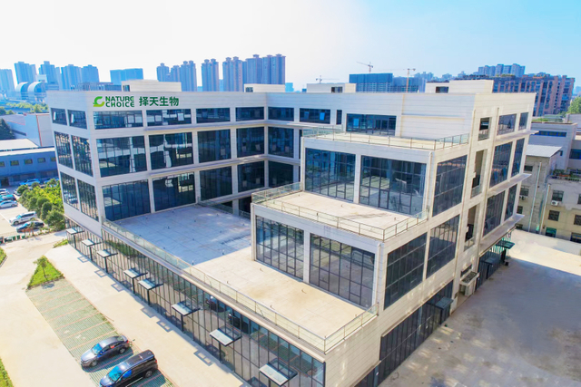 Thé de fleur de jasmin Thé vert en vrac