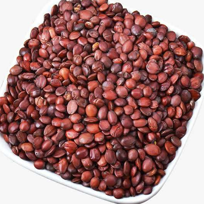 Sperme Ziziphi Spinosae