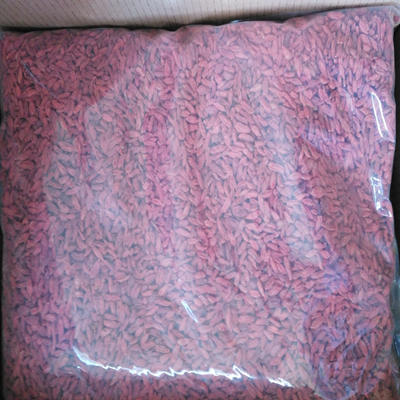 Gojiberry biologique 