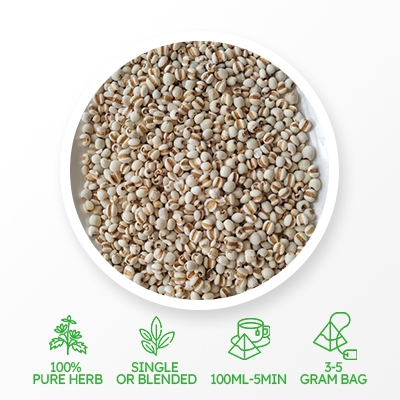 Thé blanchissant aux graines de Coix