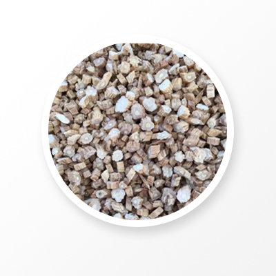 Racine de codonopsis