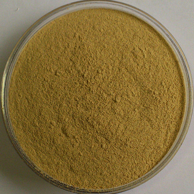 Extrait de racine d'astragale biologique