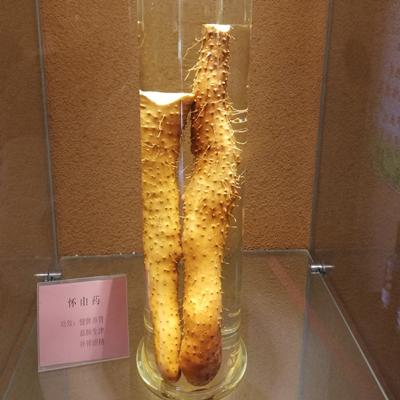 Racine d'igname chinoise fraîche-NatureChoice