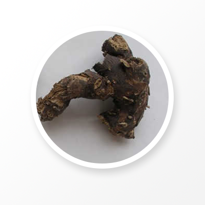 Actée à grappes noires