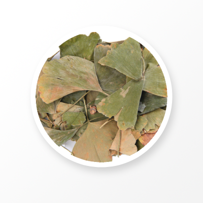 Feuille de Ginkgo Bio 