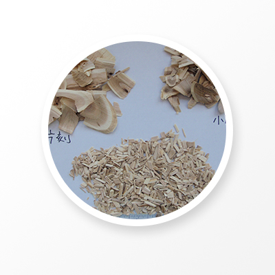 Racine d'Éleuthérocoque Senticosus