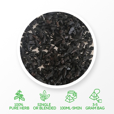 Digitale chinoise cuite à la vapeur Rehmanniae Radix