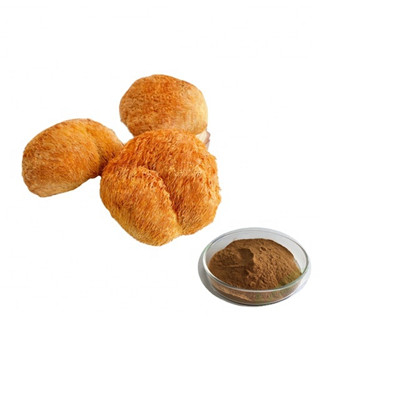 Extrait de polysaccharide Hericium Erinaceus